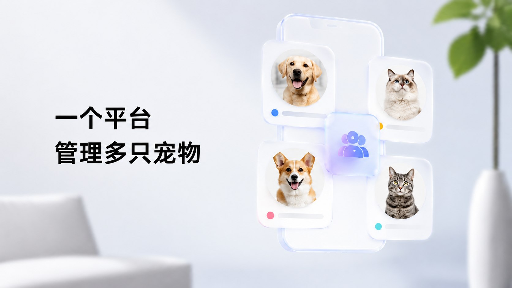 多宠适配功能展示图